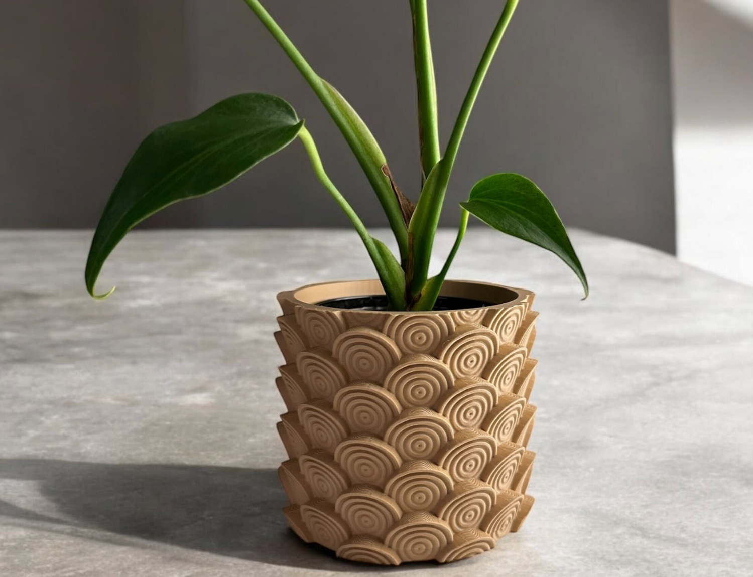 All Things Plants (Green Fingers)