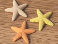 Hoshi Starfish, 3D printed home decor piece, front view